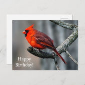 Bonne carte postale Cardinal d'anniversaire (Devant / Derrière)