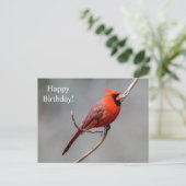 Bonne carte postale Cardinal d'anniversaire (Debout devant)