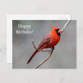 Bonne carte postale Cardinal d'anniversaire (Devant / Derrière)