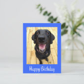 Bonne carte postale d'anniversaire Black Labrador (Debout devant)