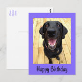 Bonne carte postale d'anniversaire Black Labrador (Devant / Derrière)
