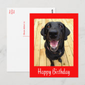 Bonne carte postale d'anniversaire Black Labrador (Devant / Derrière)