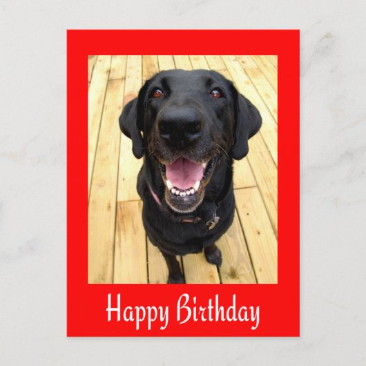 Bonne carte postale d'anniversaire Black Labrador (Devant)