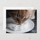 Bonne carte postale de chat (Devant / Derrière)