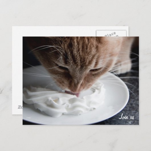 Bonne carte postale de chat (Devant / Derrière)