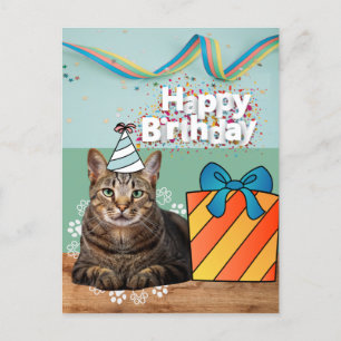 Bonne carte postale de chat anniversaire