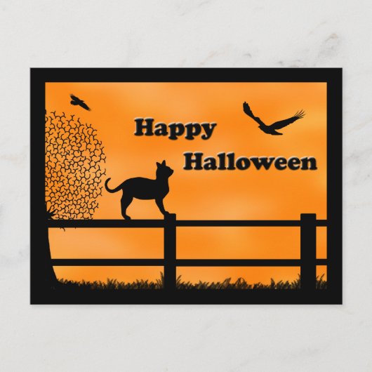Bonne carte postale de chat Halloween (Devant)