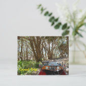 Bonne carte postale de voyage (Debout devant)