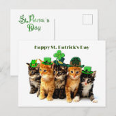 Bonne carte postale des chats du jour St. Patrick (Devant / Derrière)