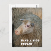 Bonne carte postale Dream (Devant / Derrière)