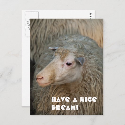 Bonne carte postale Dream (Devant / Derrière)