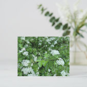 Bonne carte postale du May Day avec Hawthorn Bloom (Debout devant)