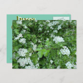 Bonne carte postale du May Day avec Hawthorn Bloom (Devant / Derrière)