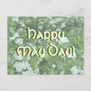 Bonne carte postale du May Day avec Hawthorn Bloom