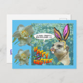 Bonne carte postale Meerkat Daffodils de Pâques (Devant / Derrière)