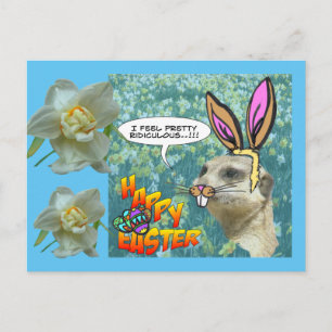 Bonne carte postale Meerkat Daffodils de Pâques