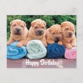 Bonne carte postale pour chien chiot chinois Shar  (Devant)