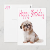 Bonne carte postale Shih Tzu Puppy pour anniversai (Devant / Derrière)