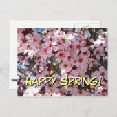 Bonne carte postale Spring Rose Blossoms (Devant / Derrière)