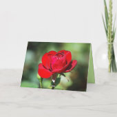 Bonne carte rouge d'anniversaire (Dos)