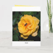 Bonne carte rouge et jaune d'anniversaire (Dos)