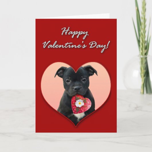 Bonne carte Valentine's Staffordshire Bull Terrier (Devant)