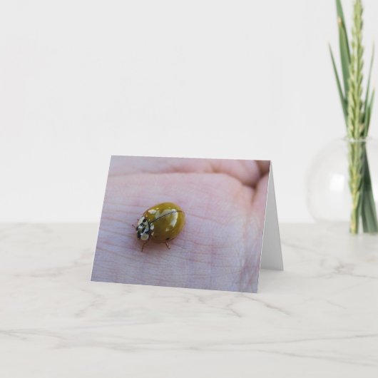 Bonne chance Cartes pour notes (Devant)