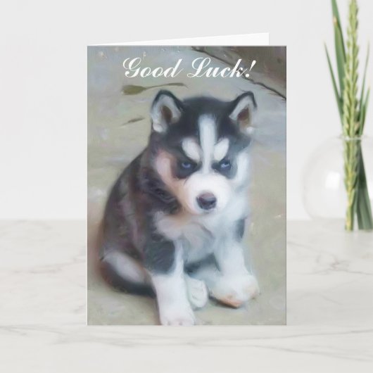 Bonne chance Siberian Husky Puppy carte (Devant)