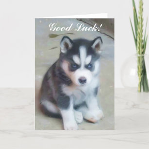 Bonne chance Siberian Husky Puppy carte