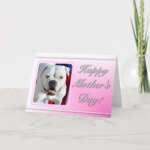 Bonne fête des mères American Bulldog carte de voe