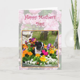 Bonne fête des mères Boston Terrier Carte de voeux