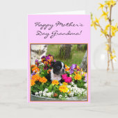 Bonne fête des mères carte Grandma Boston Terrier (Fleur jaune)