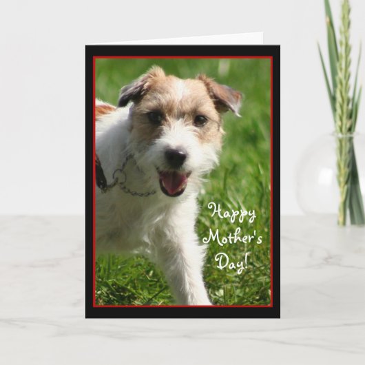 Bonne fête des mères Carte Jack Russell Terrier (Devant)