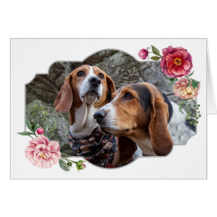Bonne fête des mères, Chiens