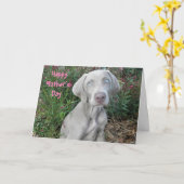 Bonne fête des mères de la carte Weimaraner Dog Ca (Fleur jaune)