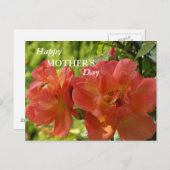 Bonne fête des mères Pink Roses Carte postale (Devant / Derrière)