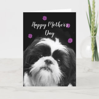 Bonne fête des mères Shih Tzu carte de voeux