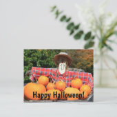 Bonne Halloween de la carte postale Citrouille Pat (Debout devant)