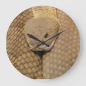 Bonne horloge de serpent d'anniversaire (Recto)