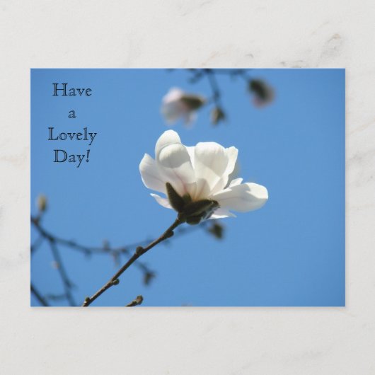 Bonne journée ! carte postale White Magnolia Sprin (Devant)