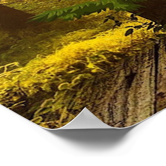 BONNE LECTURE POSTERS : "Fairy Tales" (Coin)