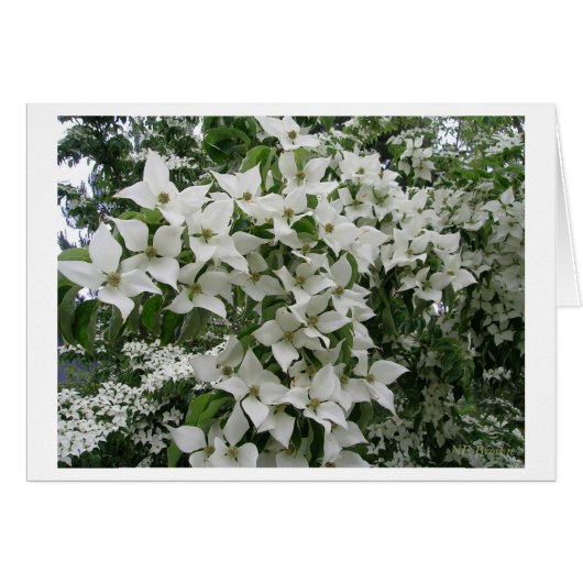 Bonne nouvelle vie ensemble (Devant horizontal)