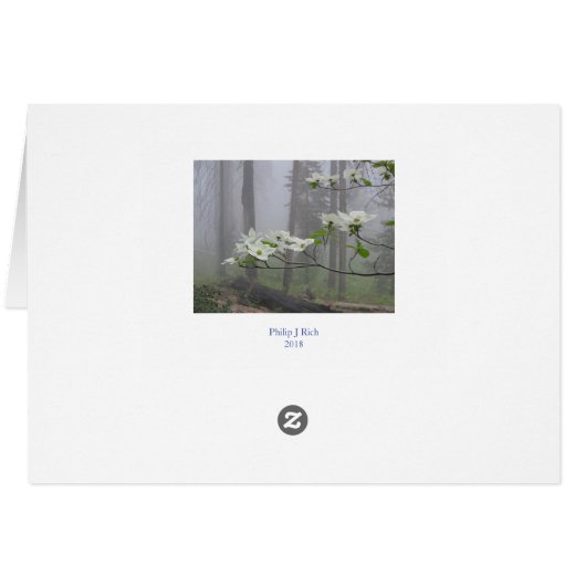 Bonne nuit Lune (Dos Horizontal)