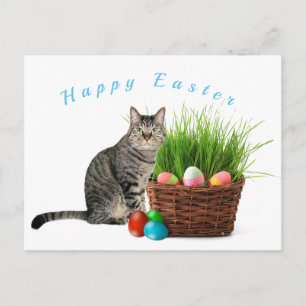 Bonne Pâques de votre carte postale de chat