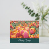 Bonne Printemps! cartes postales Fleur de tulipe c (Debout devant)