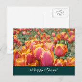 Bonne Printemps! cartes postales Fleur de tulipe c (Devant / Derrière)