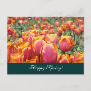 Bonne Printemps! cartes postales Fleur de tulipe c
