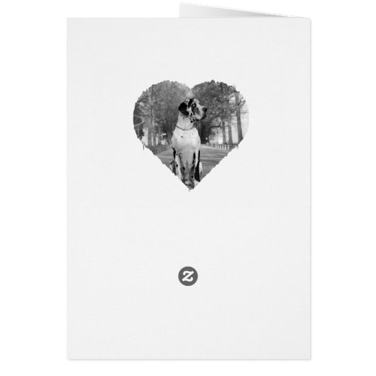 Bonne Saint Valentin ma grande DAne (Dos)