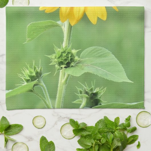 Bonne serviette de cuisine Sunflower (Plié)