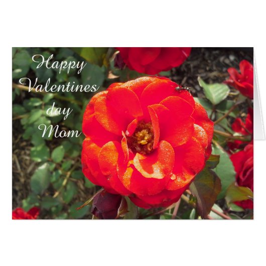 BONNE VALENTINES DAY MOM card (Devant horizontal)